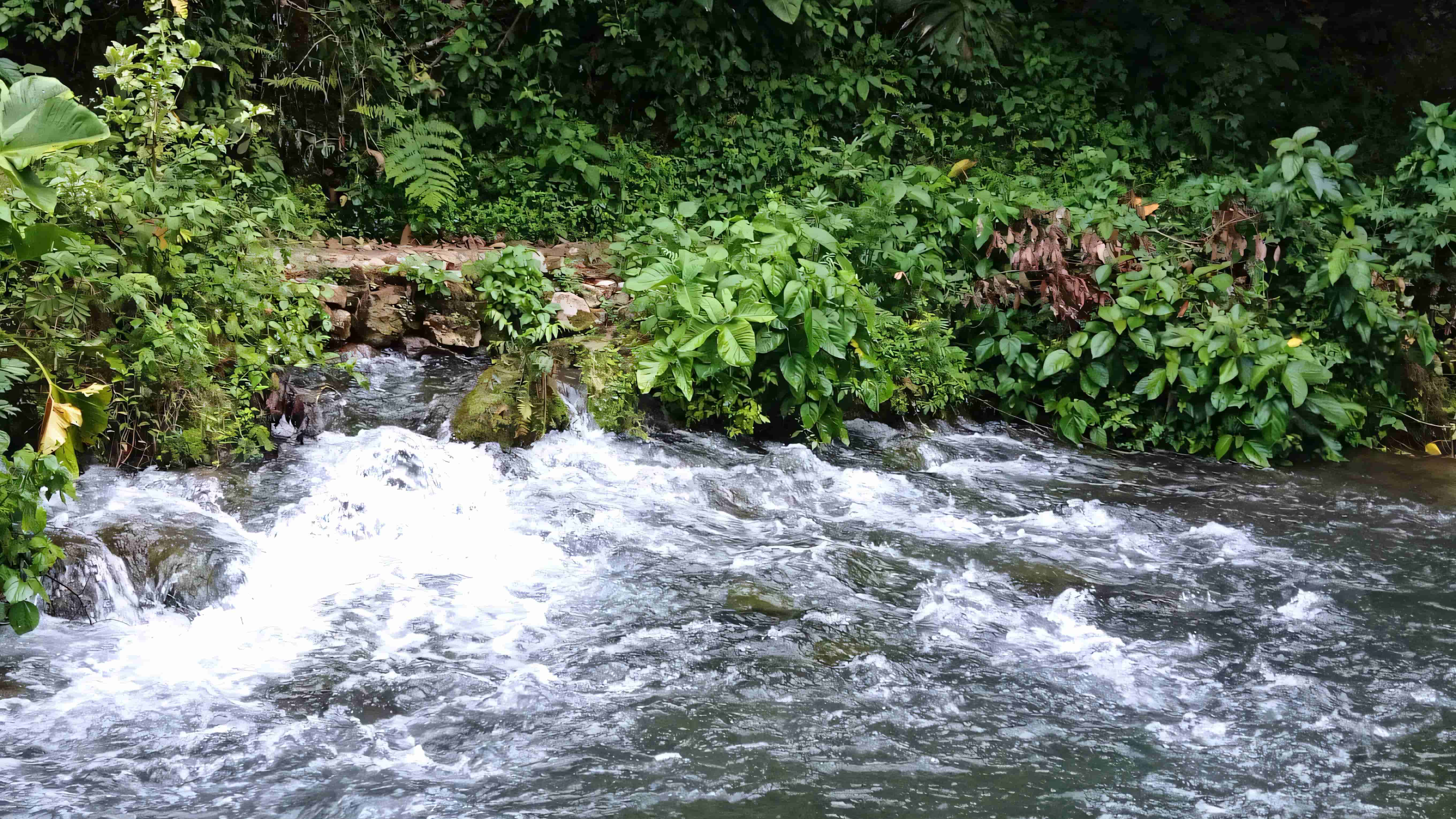 Naciente del Río Negro